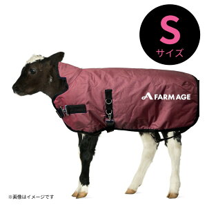 J[t WPbg q y T[[ iSTCYFΏی0~1.5jz  EV a M Rr  R[g h h΍  ~ ~ h ۉ ʋC ۉ K M M N 􂦂 