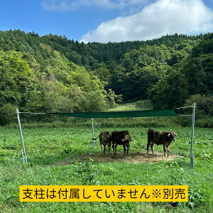   M yt@[VF[h Cgiƒ{̏M΍jxʔz y   a W[W[ qcW r  M ΍ A    ʋC Aj}EFtFA 