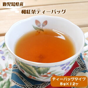 Ŷ@eB[obO^CvŎg₷@Yus̖i̘ageB[obO5g×12ygEΒzy1z