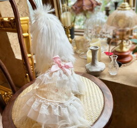 犬服 ドレス 小型犬 レース チュール リボン ホワイト 可愛い ペット服