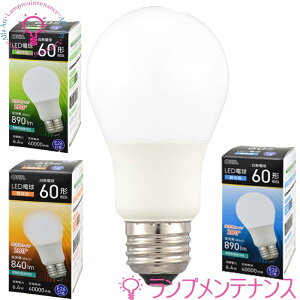 I[d@@LEDd E26 60W` ʓd` `Ή S^Cv ̍L280°y2025-06z06-5459(LDA6D-G AG59)EF06-5458(LDA6N-G AG59)EF06-5454(LDA6L-G AG59)EdF