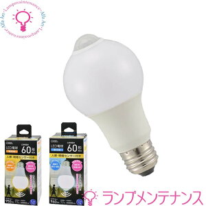 y}\P2{zI[d@@LEDd E26 60W` lZT[ty2025-06z06-4788(LDA8D-G R52)EF06-4787(LDA8L-G R52)EdF