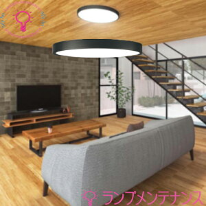 I[fbN OL291416BREubN@LEDV[OCg Ra94 FƖ(FLAT PLATE) BluetoothΉ ȈՎt EF^Cv `8 dF̒F 38W 40000 Rg[[ʔ mOL291416BRSny