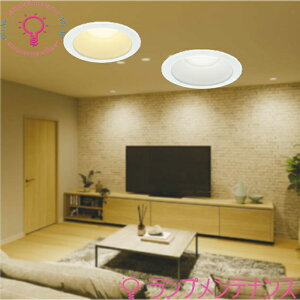 RCY~@CSBg_ECg100@60W@LED/ 񒲌 AD7250W27@2700KEdF AD7250W35@3500KEF AD7250W50@5000KEFω΍\ΉyvHzy2025-12z