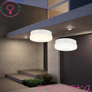 �I�[�f���b�N ���O�p LED ���p�� FCL20W����(�˂�����)�����v������OW269041LR �d���F OW269041NR �����F�h�J�E�h���^ �y�v�H���z�y2026-06�z