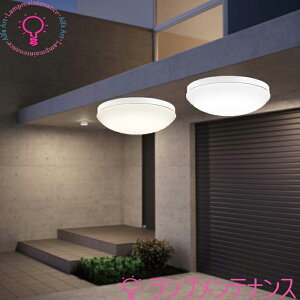 �I�[�f���b�N ���O�p LED ���p�� ��317�@FCL20W����(�˂�����)�����v������OW269049LR �d���FOW269049NR �����F �h�J�E�h���^�ǖʁE�V��ʁE�X�Ζʎ�t���p �y�v�H���z�y2026-06�z
