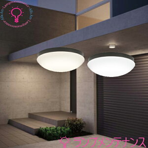�I�[�f���b�N ���O�p LED ���p�� ��317�@FCL20W����(�˂�����)�����v������OW269050LR �d���FOW269050NR �����F�h�J�E�h���^ �ǖʁE�V��ʁE�X�Ζʎ�t���p�y�v�H���z�y2026-06�z