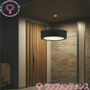 RCY~ AU50490@dF@2700KlZT[thJh^V[O@12560W@LEDs񒲌6.2WyvHzy2025-06z