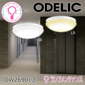 �I�[�f���b�N ���O�p LED ���p����317�@ FCL30W����(�˂�����)�����v������OW269013LR �d���FOW269013NR �����F�h�J�E�h���^�ǖʁE�V��ʁE�X�Ζʎ�t���p�y�v�H���z�y2026-12�z