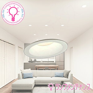 I[fbN@OD361573BCR LEĎ^ _ECg Ra94 FƖ EF(dF`F) ^ 100 M100W 50000 Rʔ BluetoothyvHzy2025-12z