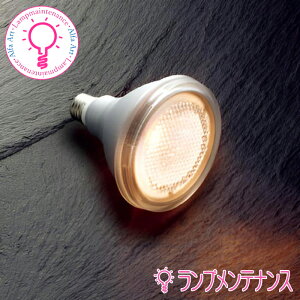 �y�}���\������P2�{�z�R�C�Y�~ �r�[����LED�����v �r�[����75W���� �r�[���p�x30°�������s�y2026-01�z�d���F�EAE57623(LDR4L-W/75W/2)