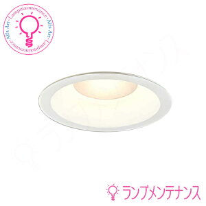 yX[p[Z[P2{zI[fbN OD261736REdF LED ̌^ _ECgM60W 125 񒲌 Ra94 FƖ ω΍\ΉyvHzy2025-12z