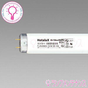 y[^݌ɂzz^NXi:NECj@FLR40SEX-D/M/36-HG2 ǌu(40` 3g` F uv) sbhX^[g`mFLR40SEXDM36HG2n y2025-06z