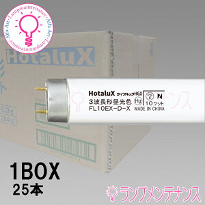 z^NXi:NECj@FL10EX-D-X210{Zbg ǌu(10` 3g` F uv) X^[^`mFL10EXDX2ny2025-05z