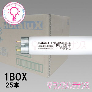 yyVC[OXӍP2{zz^NXi:NECj@FL40SSEX-L/37-X225{Zbg ǌu(40` 3g` dF uv)ǌu X^[^` mFL40SSEXL37X2ny160TCYz