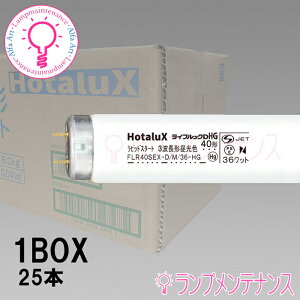 y[^݌ɂzz^NXi:NECj@FLR40SEX-D/M/36-HG225{Zbg ǌu(40` 3g` F uv) sbhX^[g`mFLR40SEXDM36HG2n y2025-04z
