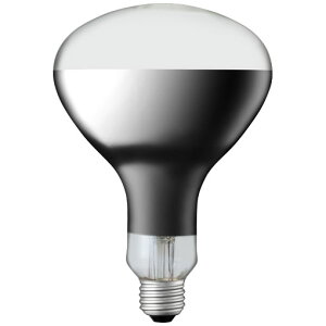 yyVC[OXӍP2{z@IR100/110V250WRHiACR`ԊOd^E26 j