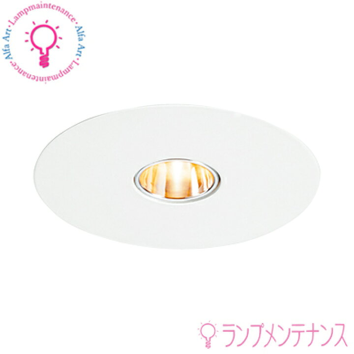 楽天市場】DNライティング(DNL) D-EX11(器具:ホワイト W)1/2ビーム角 