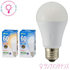 �I�[���d�@�@LED�d�� 06-3619 06-3620 E26 60W�`���� ��ʓd���` �d���F �����F �L�z���^�C�v �z���p��180° ������Ή� (LDA8L-G/D AS20 LDA8D-G/D AS20)�m063619 063620�n�y2025-06�z