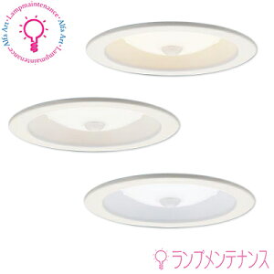 y[^݌ɂzpi\jbN XAD3100L CS1@XAD3100V CS1 XAD3100N CS1 LED_ECg tbgv^ dF F F Md100`1 100 CSB` yvHzy80T