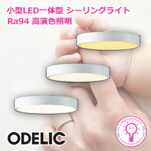 yyVC[OXӍP2{zI[fbN@^LEĎ^ V[OCg OL251727R@dFOL251855R@FOL251726R @F Ra94 FƖ FCL30W(zCg)300 43mm ^^Cv 