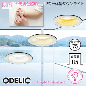 I[fbN OD361043R @dFOD361042R @F OD361041R @F LEĎ^ _ECg Ra94 FƖ ItzCg @ M100W 75 syvHzy2025-12z