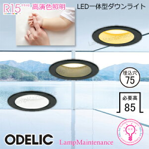 �I�[�f���b�N LED��̌^ �_�E�����C�g���M��100W���� ��75�u���b�NOD361815R�E�d���FOD361814R�E�����F OD361813R�E�����F�A������ �K��������ʔ��yLC214�zRa94 �����F�Ɩ� �y���ω΍\���z�y�v�H���z�y2