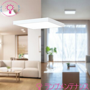I[fbNLEDV[OCg ItzCgFLAT PLATE/tbgv[gp^ CONNECTED LIGHTINGBluetoothΉ Rg[[ʔ EF^Cv dF̒F 40000 y2025-12zOL291508BRE