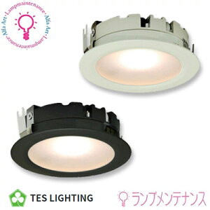 �y�労�Ӎ�P2�{�z�e�X���C�e�B���O �@TDL�|1908�V���[�YTDL-1908W30 TDL-1908B30 �f�B�X�v���C�p�Ɩ� �R�C�����C�g 3000K �����^ ������50 ���t 61° �mTDL1908W30 TDL1908B30�n �y�v�H���z�y2025-06�z