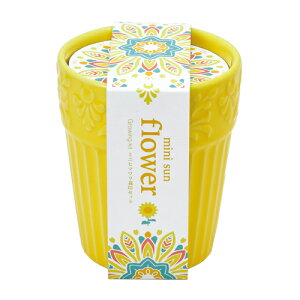 yAEgbgZ[zV| Botanical Pot {^jJ|bg GD-904y͔|Zbg {^jJ K  A 킢  v[g Mtg  A Ă₷ ƂňĂz