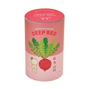 yAEgbgZ[zV| Jt~j卪  G g  GD-994y͔|Zbg Hׂ T_ Jt v[g Mtg Ă Az