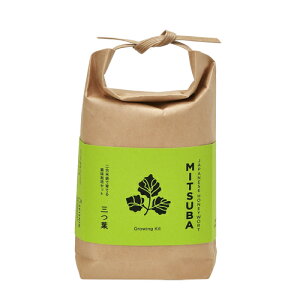 聖新陶芸 TSUTSUMI しそ 唐辛子 三つ葉 小ねぎ GD-996【栽培セット 食べられる 薬味 プレゼント ギフト 育てる 植物】