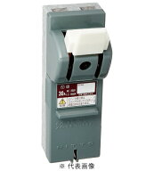 日東工業 CKS 2P30A CKSカバースイッチ 定格電圧AC250V 端子構造電線直締形 インボイス対応・領収書発行可