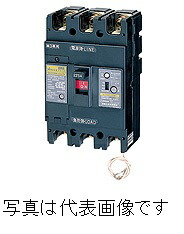 日東工業 GE223NA 3P 200A FV 分散型電源システム用 単3中性線欠相保護付漏電ブレーカ FV(100/200/500mA切換) |  電材BlueWood