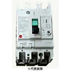 OHd@ NV125-CVF 3P 75A Rdu[J[ RdՒf WS-VV[Y `F Style oϕi ɐ3 id75A ixd100E200E500؊