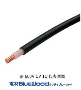 ���G�i�W�[�V�X�e�� 600V CV 14sq 1�c ���炩�d�� 600V�ψ��d�� �ˋ��|���G�`�����≏�r�j���V�[�X�P�[�u�� �ؔ�10m�ȏ�1m�P�� �C���{�C�X�Ή��E�̎������s��