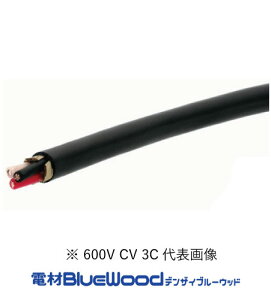 ���G�i�W�[�V�X�e�� 600V CV 14sq 3�c ���炩�d�� 600V�ψ��d�� �ˋ��|���G�`�����≏�r�j���V�[�X�P�[�u�� �ؔ�10m�ȏ�1m�P�� �C���{�C�X�Ή��E�̎������s��
