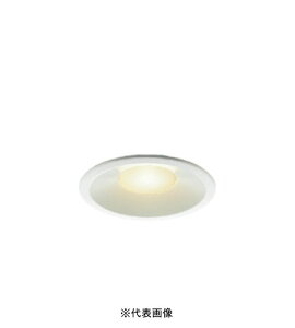 RCY~Ɩ AD1091W27 S`^_ECg 100 񒲌 100W dF