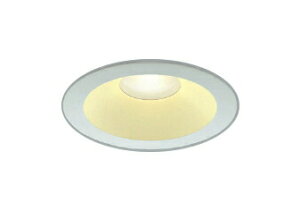 RCY~Ɩ AD7204W27 S`gLg_ECg 125 hJEh^ 60W 񒲌 dF