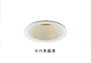 �R�C�Y�~�Ɩ� AD92074L M�^�_�E�����C�g ���j�o�[�T���^�C�v ��������100 JDR65W/40W���� �����v�ʔ� �{�̐F�t�@�C���z���C�g �C���{�C�X�Ή��E�̎������s��