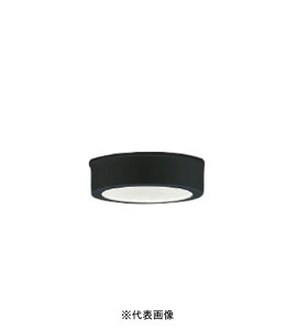 RCY~Ɩ AU50498 hJEh^V[O 100W 񒲌 F