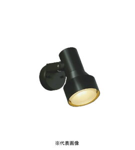 RCY~Ɩ AU57439 hJ^X|bgCg 100W dF F ubN