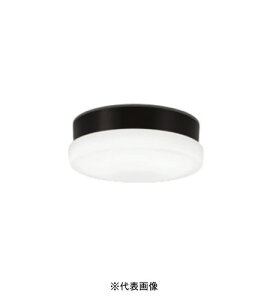 �I�[�f���b�N OW269042NR ���O�pLED���p�� �h�J�E�h���^ R15�N���X2 FCL20W���� �����F �C���{�C�X�Ή��E�̎������s��