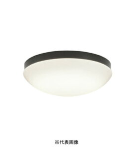 �I�[�f���b�N OW269050LR ���O�pLED���p�� �h�J�E�h���^ R15�N���X2 FCL20W���� �d���F �C���{�C�X�Ή��E�̎������s��
