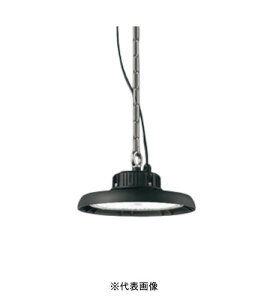 �I�[�f���b�N XP452002R LED���V��p�y���_���g �d�������^ �񒲌� ���ⓔ300W���� �����F �����R���ʔ�