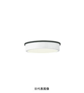 I[fbN OG254516R pV[OCg hJ^ M100W dF ItzCg