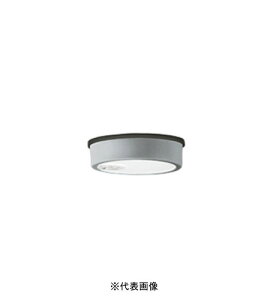 オーデリック OG254537R 軒下用シーリングライト 防雨型人感センサーON-OFF型 白熱灯60W相当 昼白色 マットシルバー