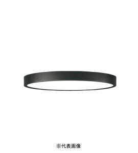 �I�[�f���b�N OL291415BR �����^LED�V�[�����O���C�g�ی^�`8�� R15�N���X2�����E���F�^�C�v �d���F�`�d���F �u���b�N