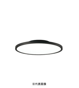 �I�[�f���b�N OL291620BR �����^LED�V�[�����O���C�g�Ԑڌ��ؑց`8�� R15�N���X2�����E���F�^�C�v �d���F�`�d���F �u���b�N