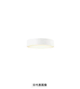 �I�[�f���b�N OL291673LR ���^LED�V�[�����O���C�g �񒲌� ���M��100W���� �d���F